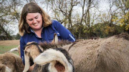 フラッシュ・ファームでの動物セラピーは、行動や精神衛生上の問題を持つすべての年齢層の人々を支援している